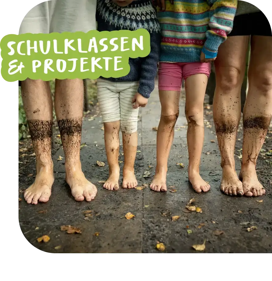 Schulklassen & Projekte