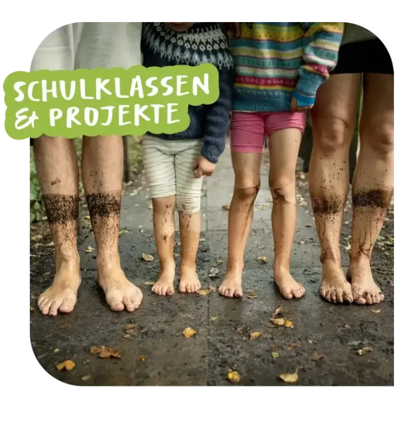Schulklassen & Projekte Schulklassen-Projekte