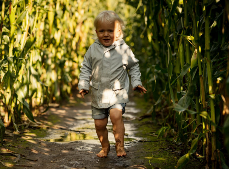 Maislabyrinth-mit-Kindern